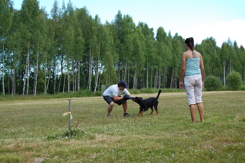 2010 005.jpg